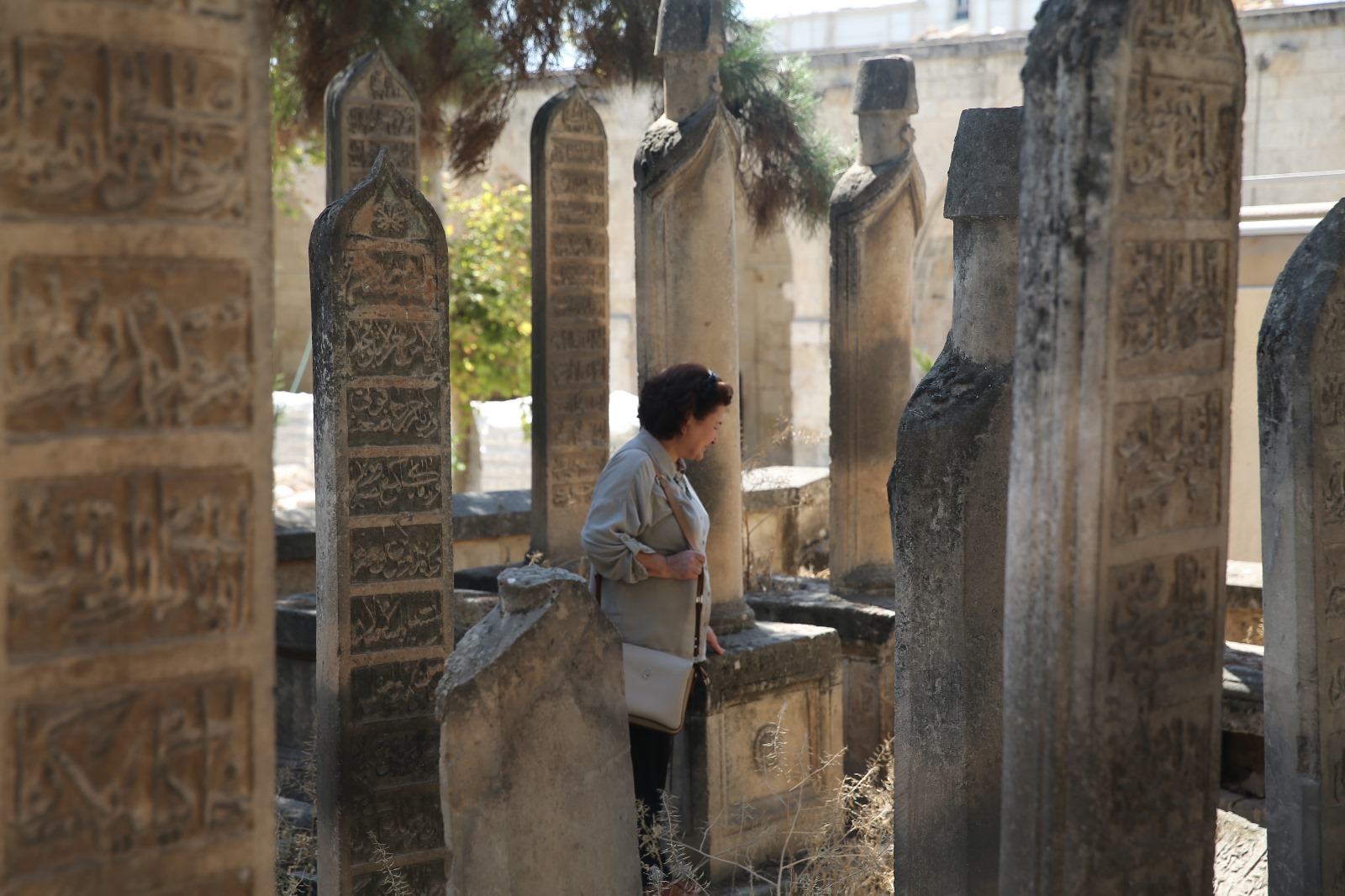 Fakültemizin Akademisyenlerinden Doç. Dr.  Gül Güler TÜBİTAK-ARDEB 1001 Projesi Desteği Almaya Hak Kazandı